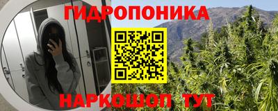 apvp Обь
