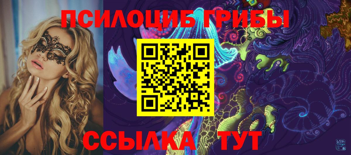 Таганрог  Псилоцибиновые грибы GOLDEN TEACHER  Вход с VPN 