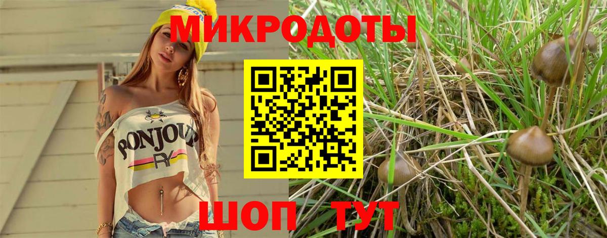 Галлюциногенные грибы мухоморы Таганрог